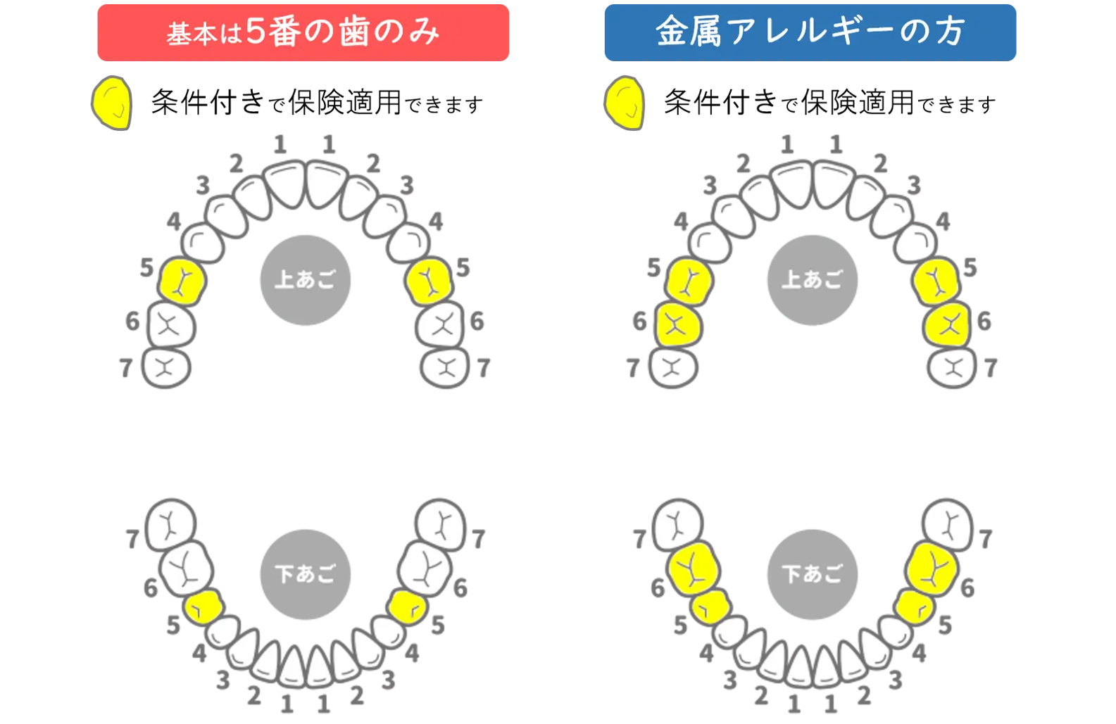 適用範囲